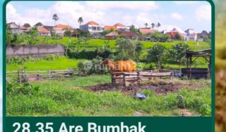 Land for sale in Kerobokan good location  2