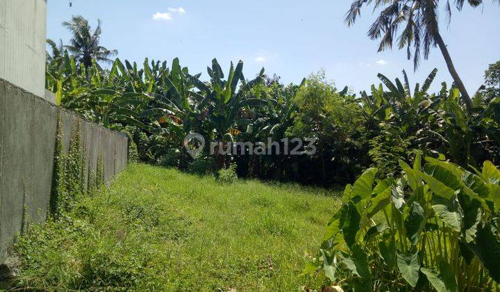 Land for sale in Kedungu with rice field view suitable for villa 1