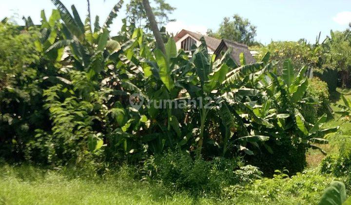 Land for sale in Kedungu with rice field view suitable for villa 2