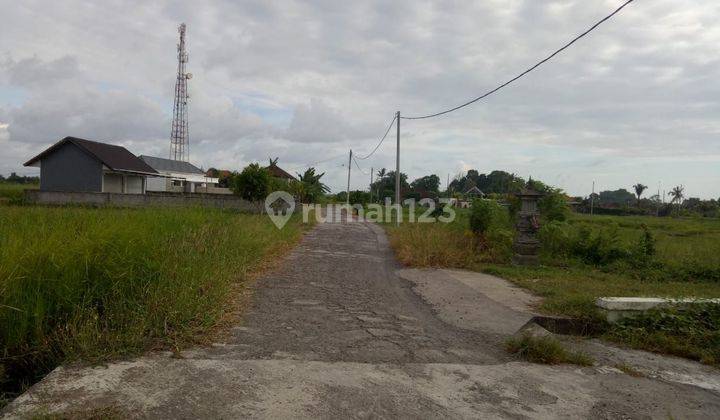 Dijual tanah di tabanan cocok untuk bangun villa  2