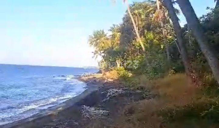 For sale land buleleng tejakula bali. Beachfront  1