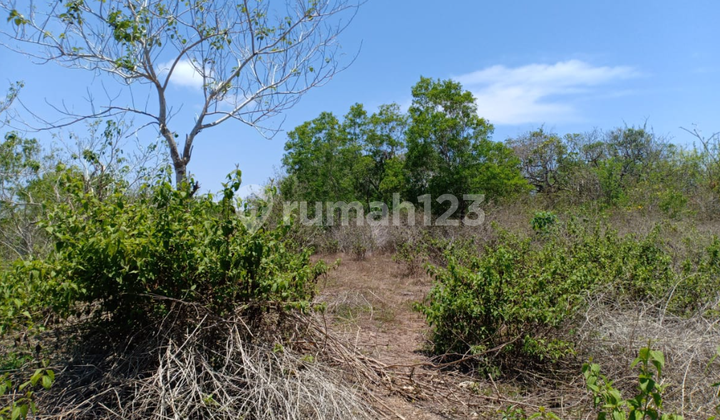 LAND FOR LEASEHOLD IN PECATU OCEAN VIEW 