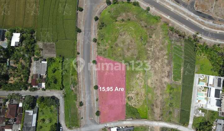 For Leasehold Land in Kedungu For Leasehold Land in Kedungu