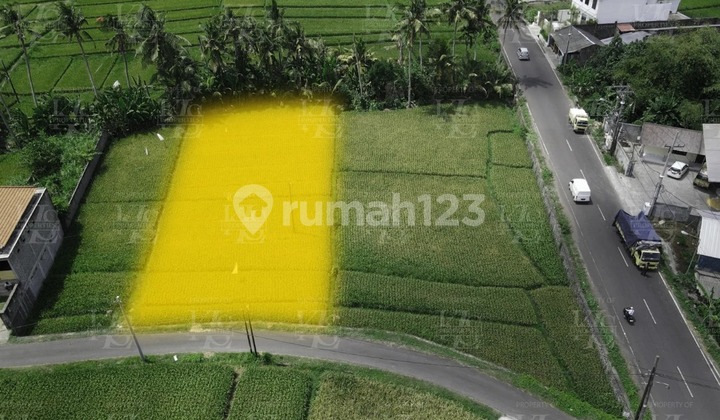 For Leasehold land in Kedungu