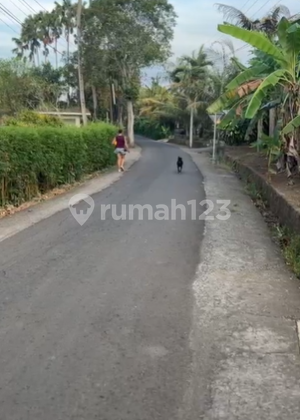 LEASEHOLD LAND IN TUMBAK BAYUH 20,9ARE SUITEABLE FOR VILLA