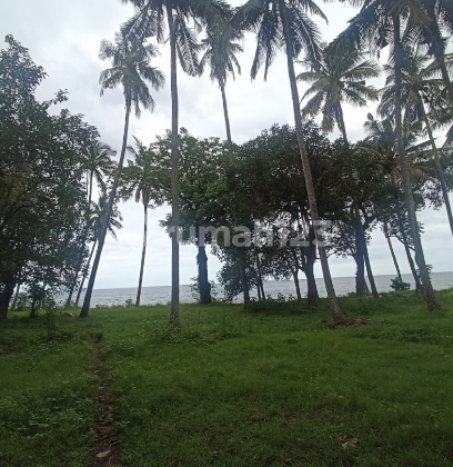 Land in Buleleng Sambirenteng Beachfront 25 Are Land in Buleleng Sambirenteng Beachfront 25 Are