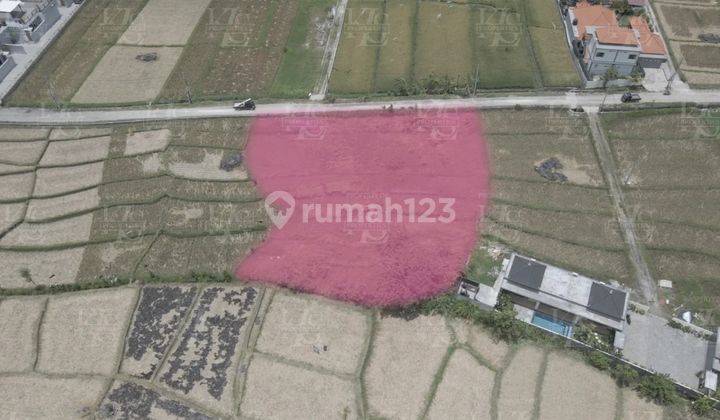 Land in cemagi for leasehold  1