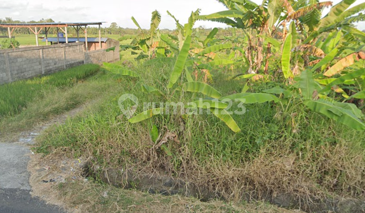 SEWA TANAH KABA KABA ZONA KUNING PEMANDANGAN SAWAH SEMPURNA UNTUK VILLA