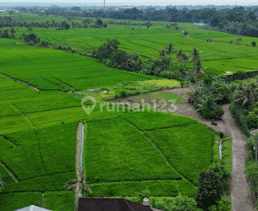 DIJUAL TANAH KAVLING BUWIT TABANAN COCOK UNTUK BANGUN VILLA  2