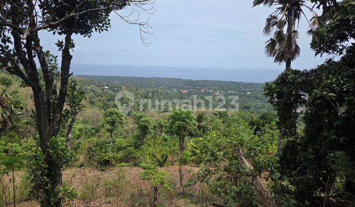 FOR SALE: Ocean View Land in Bondalem, Buleleng FOR SALE: Ocean View Land in Bondalem, Buleleng