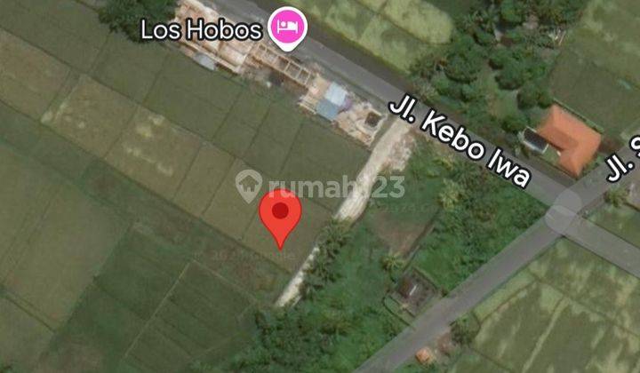 For rent Land Kedungu Beach 48are 15mil Per Are  1