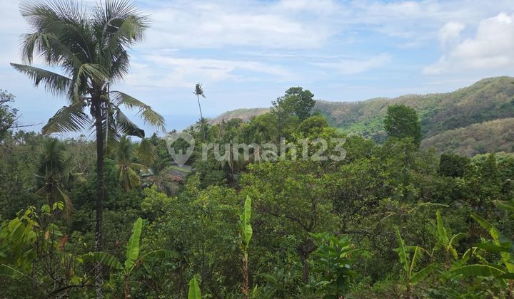 DIJUAL TANAH BULELENG TEJAKULA  85ARE 