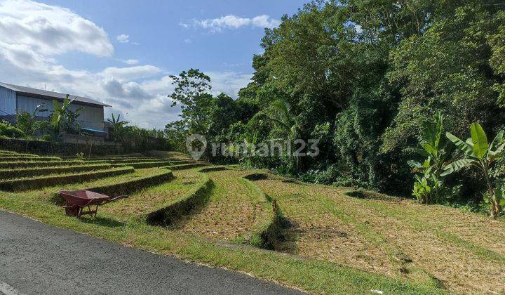 LAND FOR SALE BERABAN TABANAN SUITABLE FOR VILLAS 1