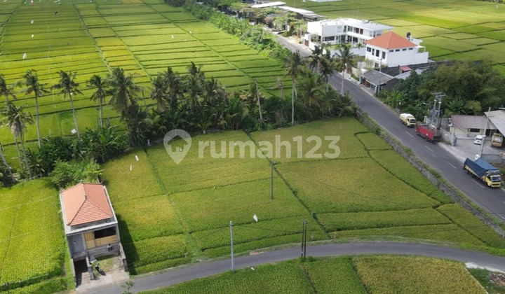 For Leasehold land in Kedungu