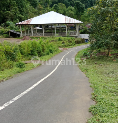 Dijual Tanah Dimunduk Buleleng 29 Are