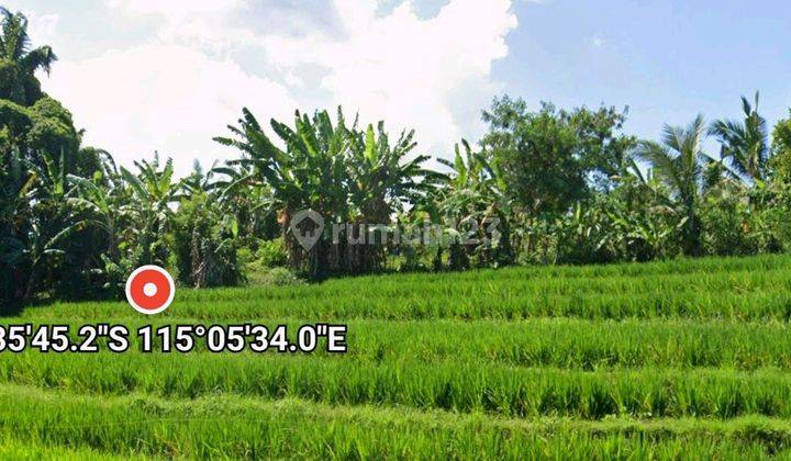 For Leasehold Land In Kedungu Ssuitable For Villa  1