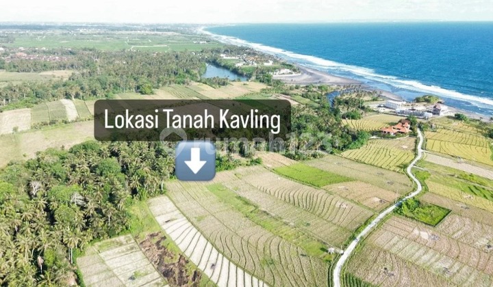 for sale land in tabanan beraban 3 acres and 7 acres