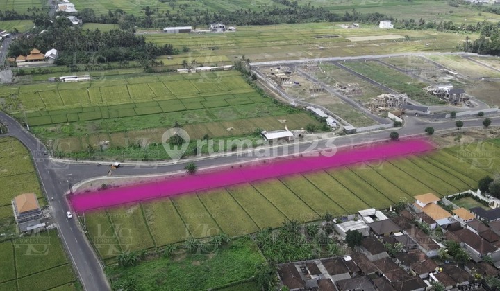 For Leasehold land in Kedungu