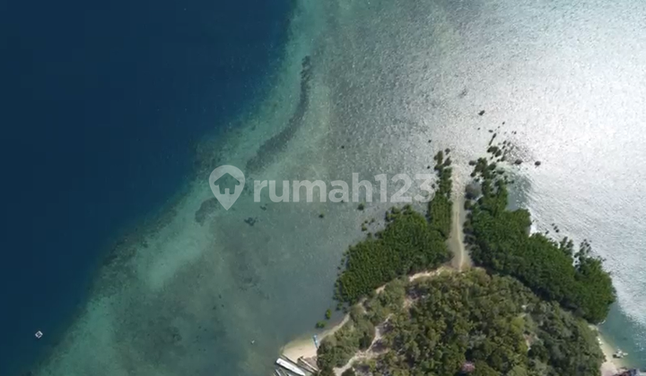 For Sale Land In Buleleng Beach Front For Sale Land In Buleleng Beach Front