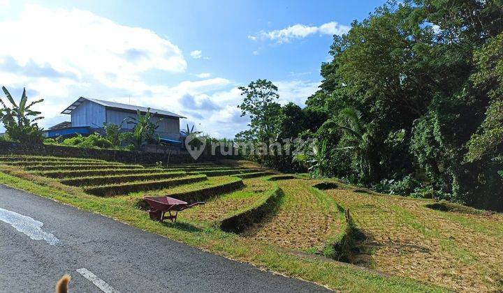 LAND FOR SALE BERABAN TABANAN SUITABLE FOR VILLAS 2