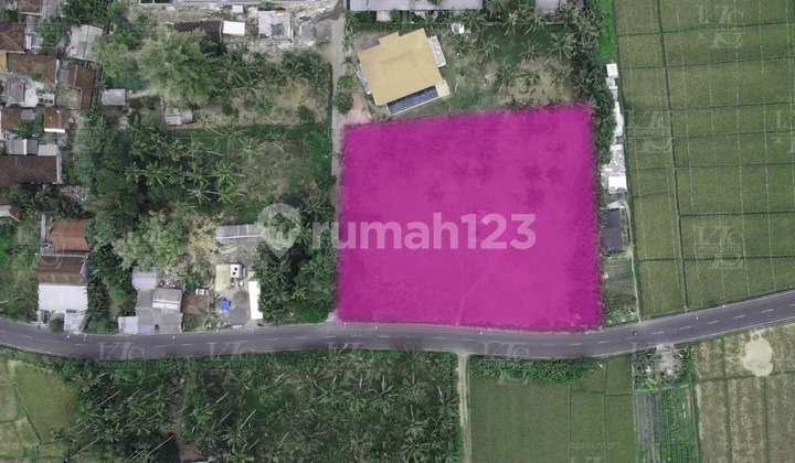 For Leasehold land in Kedungu