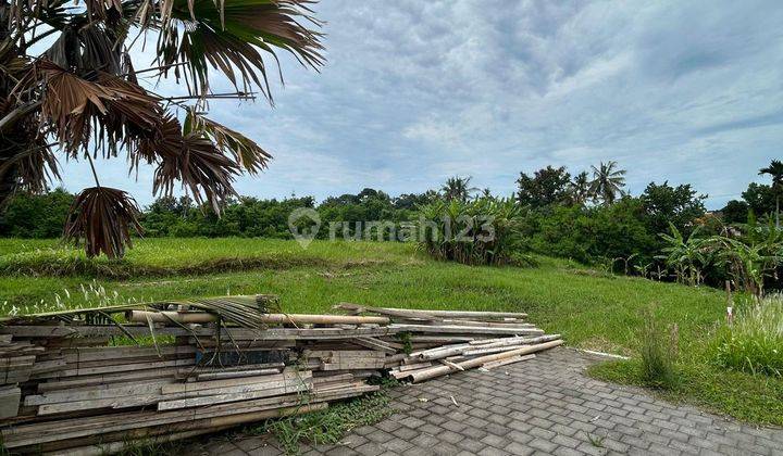 For Sale Kedungu Land 8.3 are Suitable For Villa 1