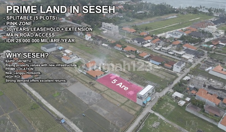 untuk tanah sewa di Seseh dekat pantai cocok untuk villa