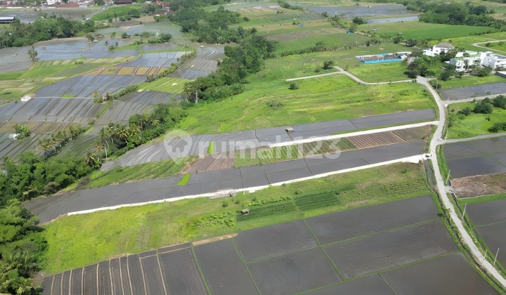 For Leasehold land in Kedungu