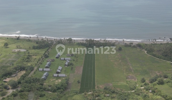 For Leasehold land in Kedungu Pig Stone Beachfront For Leasehold land in Kedungu Pig Stone Beachfront