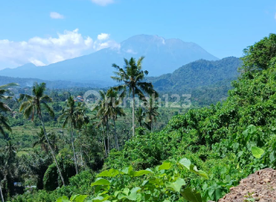 Dijual Tanah Luas 16 Are di Sidemen, Talibeng Dijual Tanah Luas 16 Are di Sidemen, Talibeng