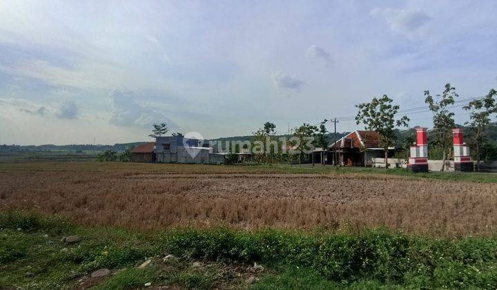 Dijual Tanah Strategis Mijen Cocok Buat Wisata Atau Investasi Shm 2