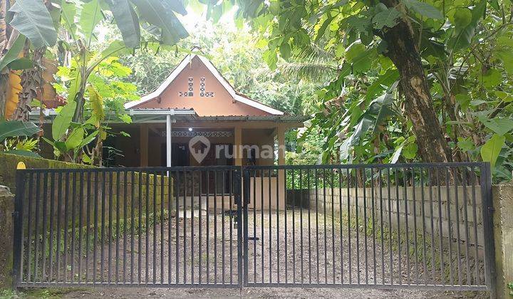 Rumah Luas Nuansa Asri Padat Penduduk Nasionalis 1