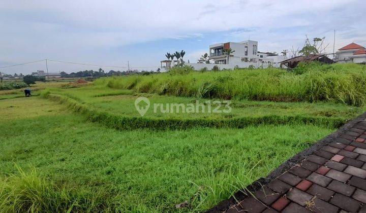 Tanah Bagus Untuk Kavling Villa Atau Private Villa Di Dekat Pantai Nyanyi 2