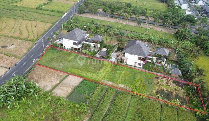 Land/Plant For Sale In Developing Location In Tabanan Area 2