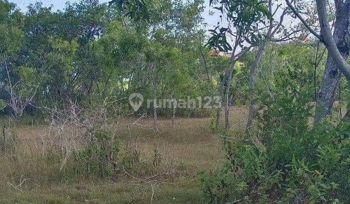 Land for Sale in Kutuh Area, Suitable for Plots or Villa Complexes 2