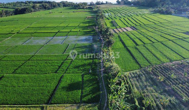 Tanah Lokasi Zona Pink Dekat Pantai Kelating 2