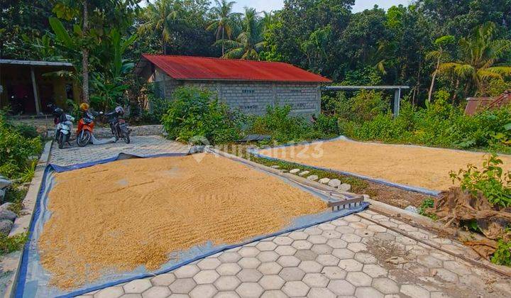 Tanah Dekat Kampus Umy di Ambarketawang Sleman Siap Bangun 2