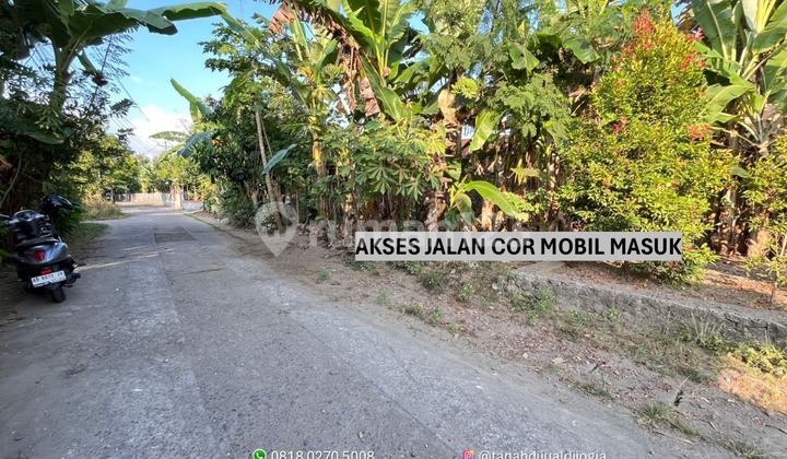 Land for Sale near Elisabeth Ganjuran Hospital on Jl Parangtritis KM 15, Ready to Build. Land for Sale near Elisabeth Ganjuran Hospital on Jl Parangtritis KM 15, Ready to Build.