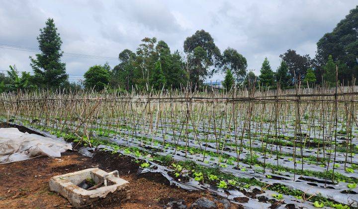 Tanah murah di Kolonel Masturi 1