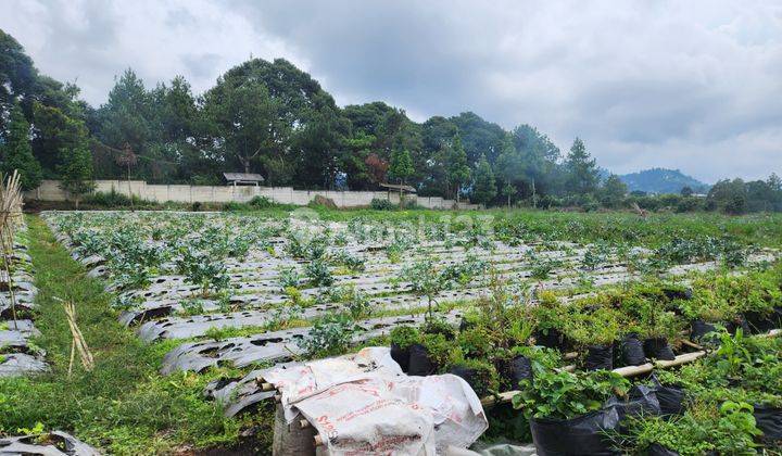 Tanah murah di Kolonel Masturi 2