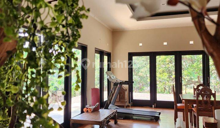 Rumah dengan interior yang sangat cozy 2