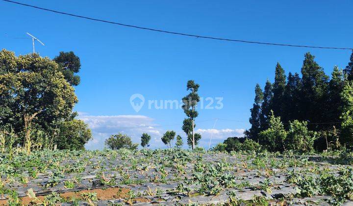 Tanah view bagus di antara dago dan lembang 1