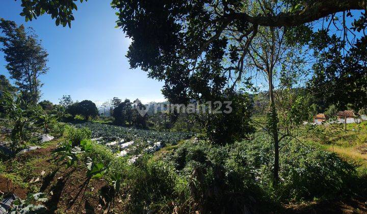 Tanah view bagus di antara dago dan lembang 2