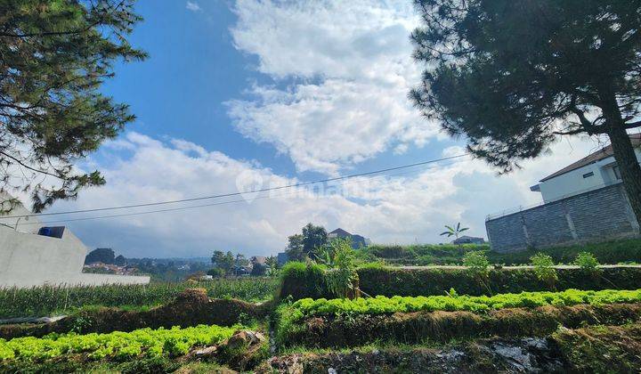 Jarang : Boleh Beli Sebagian ❤️.  Tanah Setreg Harga Terjangkau Luasan Kecil