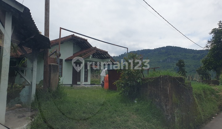 Rumah Lama Dng Kebun Luas Rumah Lama Dng Kebun Luas