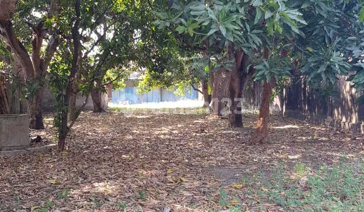 Jual Rumah Hitung Tanah. 1 Menit Ke Rumah Sakit. 4 Menit Ke Balai Kota Dan Mesjid Al Taqwa. Sangat Strategis.  2