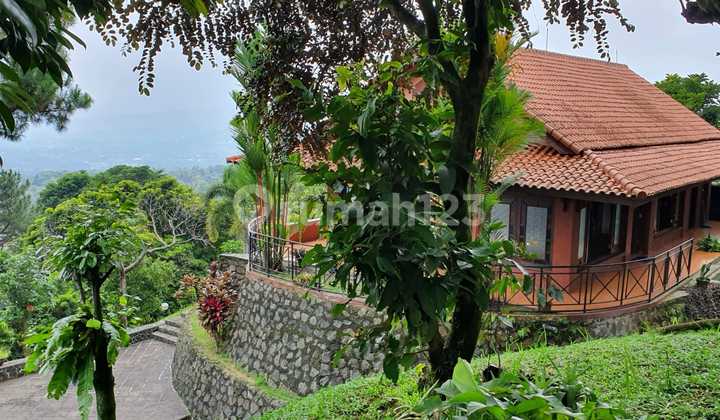 Villa House In Bogor