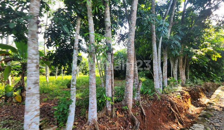 Tanah Murah Di Purwakarta Tanah Murah Di Purwakarta