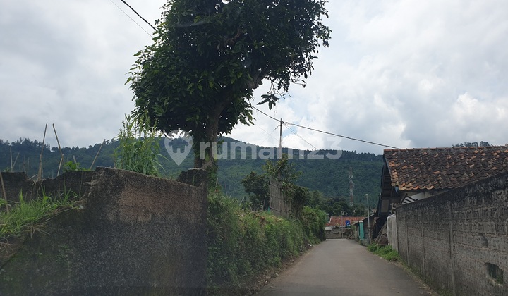 Old House With Large Garden 2