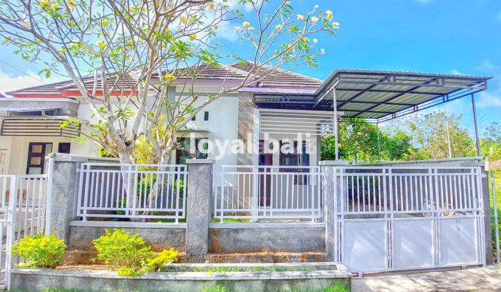 Rumah, Minimalist House With Homey Concept In Ungasan, Bali 1